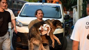 Διασώσεις ζώων μέσα από τις φωτιές στην Αχαΐα - «Κανείς δεν μένει πίσω»