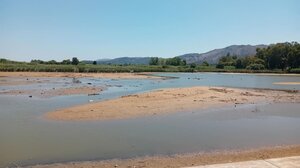 Χανιά: Στερεύει η Λίμνη της Αγυιάς – Αποκαρδιωτικές εικόνες