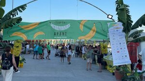 Έρχεται η 7η Γιορτή Μπανάνας στην Άρβη με τη στήριξη του Δήμου Βιάννου