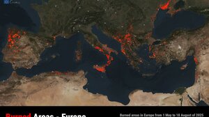 Πυρκαγιές: Η Ελλάδα στην πέμπτη θέση της Ευρώπης το καλοκαίρι του 2025 σε καμένες εκτάσεις