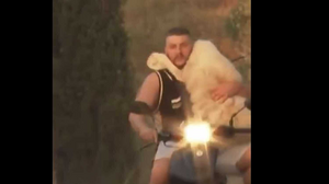 Φωτιά στην Αχαΐα: «Μέλπω» ονομάστηκε το πρόβατο που διασώθηκε με μηχανάκι