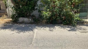 “Τα παρατημένα δέντρα και τα ξερόχορτα εγκυμονούν κινδύνους πυρκαγιάς!”