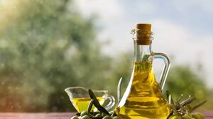 Πλούσιες εκδηλώσεις για τον εορτασμό της Παγκόσμιας Ημέρας Ελιάς κι Ελαιολάδου