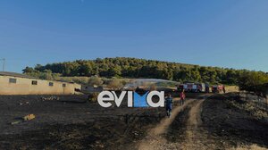 Εύβοια: Εθελοντής πυροσβέστης τραυματίστηκε κατά την κατάσβεση φωτιάς