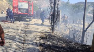 Φωτιά στον Άγιο Βλάσση - Πρόλαβαν τα χειρότερα πυροσβέστες και κάτοικοι της περιοχής - Φωτογραφίες