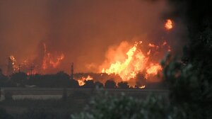  Φωτιές: Πύρινος εφιάλτης στην Κάτω Αχαΐα και εντολή εκκένωσης προς Πύργο – Στις φλόγες Χίος, Πρέβεζα και Ζάκυνθος