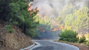 Πολύ υψηλός κίνδυνος πυρκαγιάς την Παρασκευή (22/8) στην Π.Ε. Χανίων