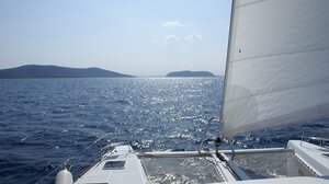 Την τσίμπησε έντομο εν πλω - Περιπέτεια για 62χρονη τουρίστρια 