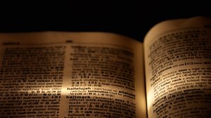 Νέες λέξεις όπως «skibidi», «tradwife» και «delulu» προστέθηκαν στο λεξικό του Cambridge 