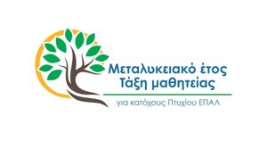 Παράταση προσφοράς θέσεων μαθητείας για το «Μεταλυκειακό Έτος-Τάξη Μαθητείας ΕΠΑ.Λ.» 