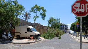 Καθαρισμός στα δέντρα στο Πανάνειο, μετά τη φωτιά στα Ενετικά Τείχη