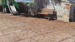 "Σε άθλια κατάσταση η παιδική χαρά στον Πόρο"