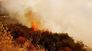 Φωτιά στην Βρυσούλα Πρέβεζας: Μήνυμα 112 για εκκένωση - Δυσχαιρένουν το έργο της κατάσβεσης οι δυνατοί άνεμοι