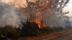 Αρχηγός Πυροσβεστικού Σώματος: «Σε κατάσταση συναγερμού όλοι οι φορείς – 152 πυρκαγιές σε δύο ημέρες»