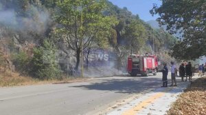 Γλυκή Θεσπρωτίας: Υπό πλήρη έλεγχο τέθηκε η πυρκαγιά – Την “πρόλαβε” η Πυροσβεστική