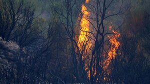 Απολογισμός πυρκαγιών: 7 στις 10 από ανθρώπινη αμέλεια - 5.600 εστίες από την αρχή της χρονιάς