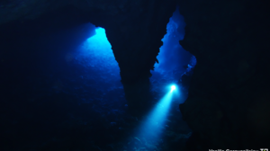 Θαλάσσια σπήλαια της Ελλάδας: καταφύγιο για έναν μεγάλο αριθμό οργανισμών- Η πρωτιά της Κρήτης!