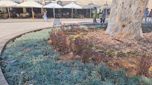 Τι απαντά ο ανάδοχος για την εικόνα στην πλατεία Ελευθερίας