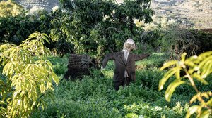 Ένας Αναγεννησιακός κήπος στον Κάμπο των Χανίων!