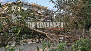 Βόλος: Έπεσαν δέντρα σε κολώνες ρεύματος και σε σταθμευμένα οχήματα λόγω των ισχυρών ανέμων - Βίντεο