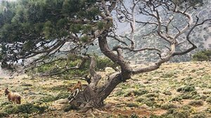 ΟΠΕΚΕΠΕ: δράματα στην Κρήτη από την δέσμευση εκατοντάδων τραπεζικών λογαριασμών με εισαγγελική διάταξη 