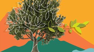 Η πορεία του προγράμματος δακοκτονίας στην Περιφέρεια Κρήτης