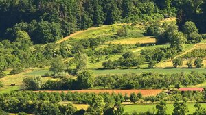 Δασικοί χάρτες: Τι αλλάζει και πώς ξεμπλοκάρονται οι εκκρεμείς αντιρρήσεις