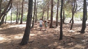 Βόλτα στη φύση: Κάντε έναν περίπατο στο δάσος της Κέρης!