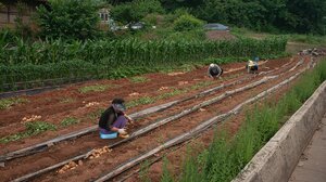 Τι προβλέπεται για τις θέσεις εργαζομένων από τρίτες χώρες για το 2026 