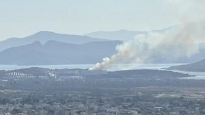 Φωτιά στη Νέα Πέραμο στα Μέγαρα – Επιχειρούν ισχυρές πυροσβεστικές δυνάμεις