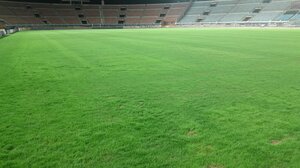 Έτσι είναι η κατάσταση στο γκαζόν του Παγκρητίου!