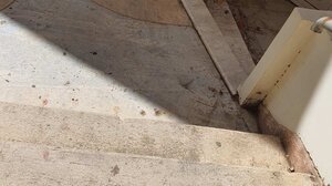 Η απάντηση του αντιδημάρχου Καθαριότητας για την κατάσταση στη Χρυσοπηγή