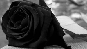 Θλίψη για το πρόωρο χαμό της Τασούλας Ζαχαριουδάκη 