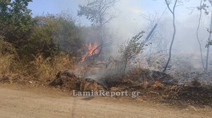 Πυρκαγιά στον Άγιο Σεραφείμ Καμένων Βούρλων - Στη μάχη με τις φλόγες και εναέρια μέσα