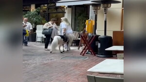 Γυναίκα πήγε βόλτα στο κέντρο της Αθήνας με το… πόνυ της (Βίντεο)