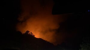 Η Ελλάδα ανάμεσα στις χώρες της ΕΕ που επλήγησαν περισσότερο από τις δασικές πυρκαγιές