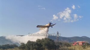  Πυρκαγιά στη Μεγάλη Βρύση Λαμίας - Επενέβησαν επίγειες και εναέριες δυνάμεις 