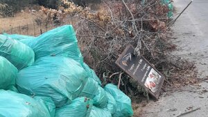 Θέρισο Χανίων: απομακρύνθηκαν περισσότεροι από 5 τόνοι απορριμμάτων