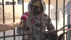 Βοιωτία: Το «on air» επεισόδιο της 62χρονης με δημοσιογράφους και τα αγριεμένα σκυλιά