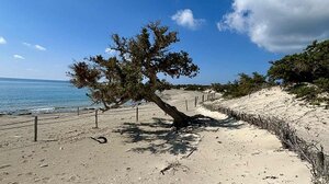 Η επόμενη μέρα για την προστασία και διαχείριση της νήσου Χρυσή