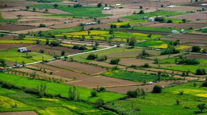 Έρευνα: Το μέλλον της αγροτικής παραγωγής ξεκινά από τη Μεσαρά!