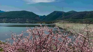 Αποσελέμης: ένα καταφύγιο πουλιών, ψαριών και χλωρίδας που χρειάζεται προστασία