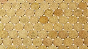 Κυνήγι για λίρες: Σήμερα απολογούνται τα δύο αδέρφια