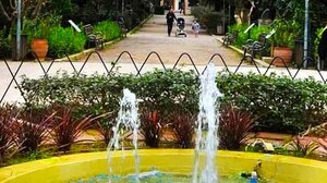 Εθελοντική δενδροφύτευση στον Δημοτικό Κήπο Ρεθύμνης