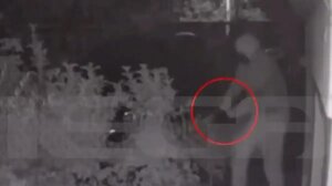 Δροσιά: Προφυλακιστέος ο 29χρονος για την απόπειρα δολοφονίας του 38χρονου - «Είμαι μετανιωμένος»