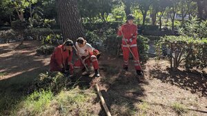 Μεγάλη συμμετοχή στην εθελοντική δενδροφύτευση στον Δημοτικό Κήπο Ρεθύμνου