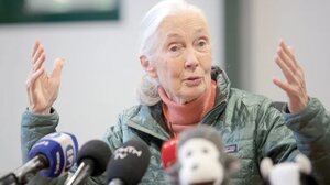 «Δεν έχουμε δανειστεί το μέλλον, το έχουμε κλέψει» – Όταν η διάσημη Τζ. Γκούντολ "μάγεψε" την Κρήτη