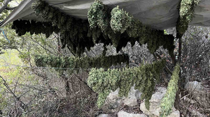 Την Τρίτη η απολογία του 57χρονου για τα 17,5 κιλά χασίς και τα δεκάδες δενδρύλλια