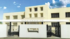 Απόφοιτοι Καπετανάκειου: Μετά το reunion ήρθε και η απόφαση για την ίδρυση συλλόγου