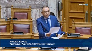 Κέλλας: «Δεν υπάρχει αδειοδοτημένο εμβόλιο κατά της ευλογιάς σε Ελλάδα και Ευρώπη»